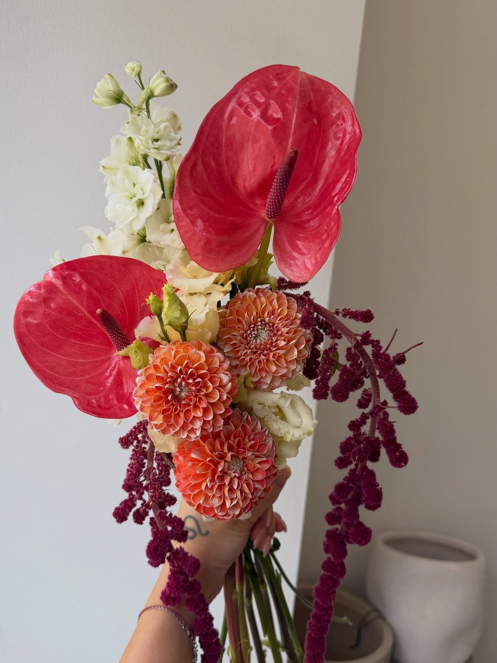 Anthurium